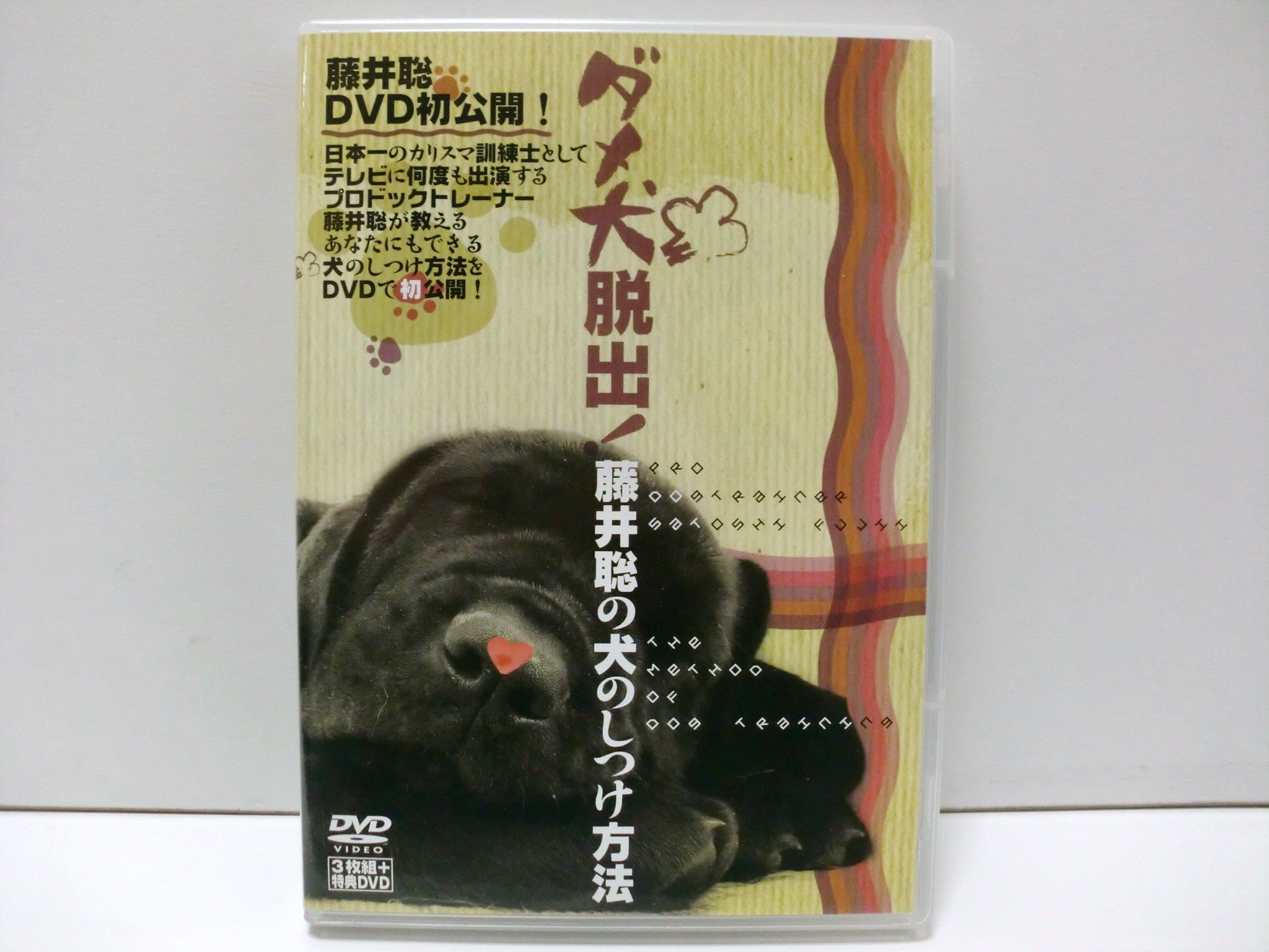 Amazon.co.jp: 日本一のカリスマ訓練士 藤井聡 犬のしつけ法 DVD